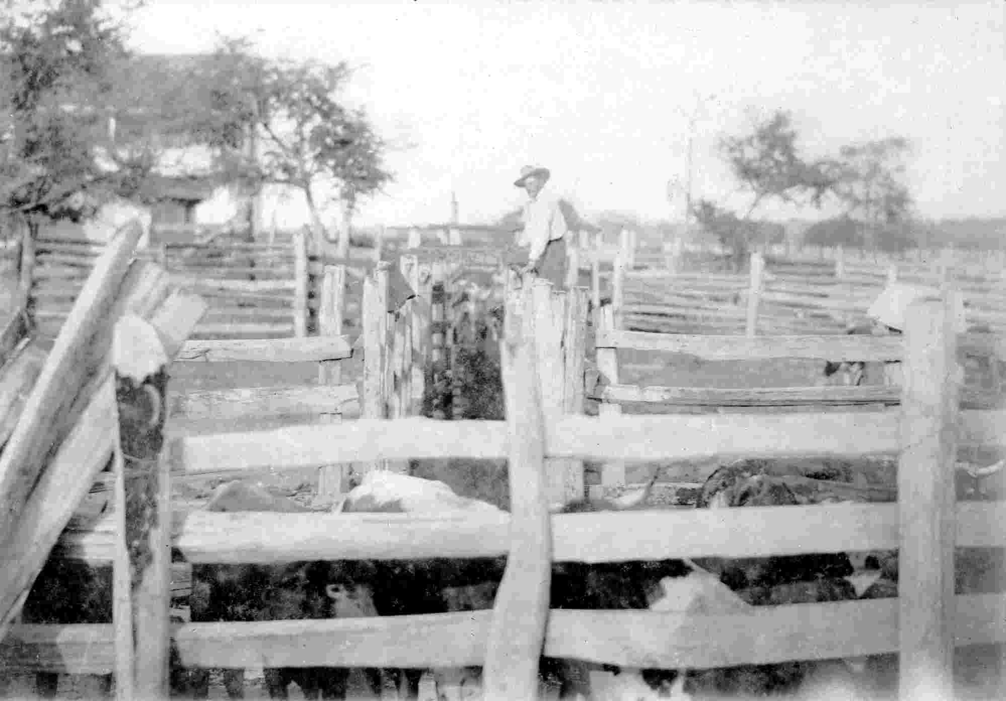 Cattle pens and the dipping vat in the 1890s. (Fort Bend County Museum Association collection.)